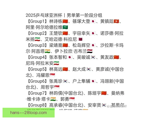 2025亚洲杯中国队分组抽签揭晓球迷关注比赛前景